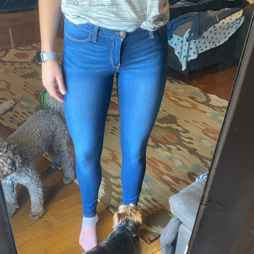Flying Monkey Jeans